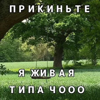 🌟 пипяу, sticker Telegram 14 sur 119