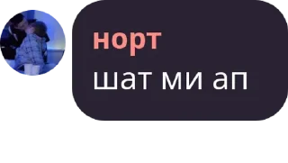 эстетик хаус