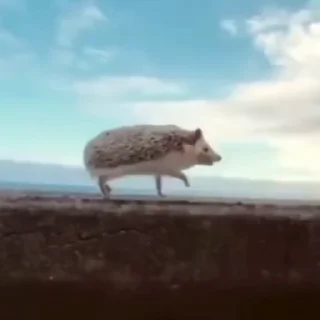 Чт...
