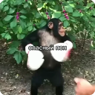 🌟 Имба?, Telegram sticker 14 of 65