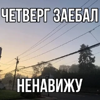 🌟 Литерали ми когда расписание, sticker Telegram 12 sur 26