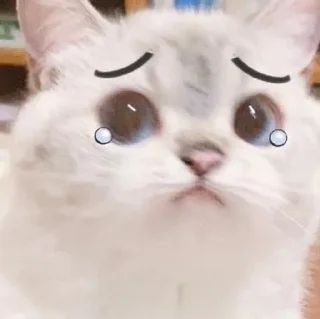🌟 Белый пушистик, Telegram sticker 16 of 87