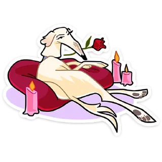 🐶 Белый • @TgSticker, стікер Telegram 19 з 49