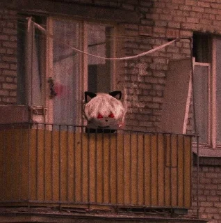 🥺 Пока дебилы, стікер Telegram 21 з 120