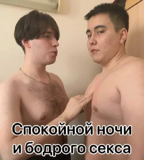 🥴 Любимые дебилы, стікер Telegram 11 з 37