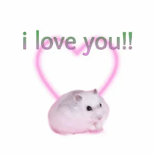 🩰 ` 𝗬𝘂𝗻𝗮 𝗯𝘆 @m2e58l, Telegram sticker 20 of 35
