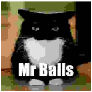 Mr Balls