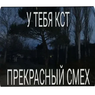🖼 Сігма вумен, стикер Telegram 16 из 22