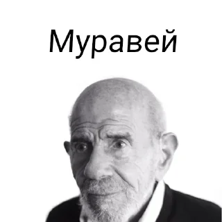 🧠 РоФлЯнЫе ФоТоЧкИ, sticker Telegram 8 sur 56