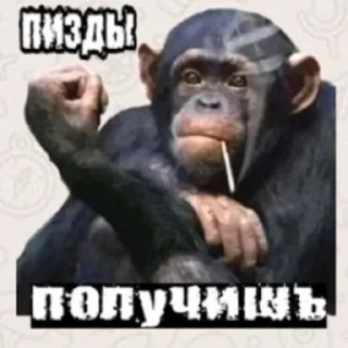 😤 дауны, стікер Telegram 3 з 92