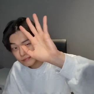 @archskztxtitzy