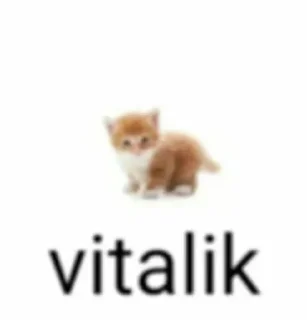 🌟 Котярки, стикер Telegram 23 из 23