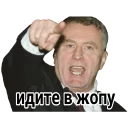 🖕 Жириновский @CTikeri, стикер Telegram 13 из 17