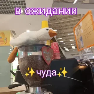 🌟 ëбушки алмазные, Telegram sticker 4 of 37