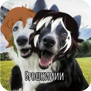 🐶 Cody. Oc Женечки😎💕💘, стікер Telegram 9 з 24
