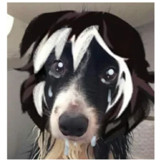 😭 Cody. Oc Женечки😎💕💘, стікер Telegram 2 з 24