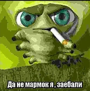 🙈 Ему вообще насрать на голову, стикер Telegram 10 из 120