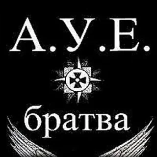 👨‍👨‍👦‍👦 АУЕ, стикер Telegram 2 из 18