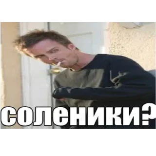 🥺 QAWOON @blyadtoivo, стікер Telegram 22 з 23