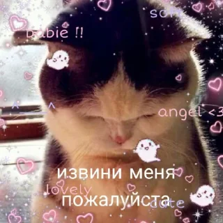 🥺 Я поглянув тобі в очі
Силуети кажуть, що там спокій, стікер Telegram 9 з 11