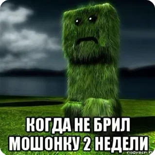 🌟 холи, Telegram sticker 16 of 38