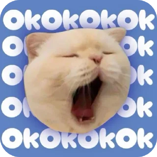 👌 Котья, стикер Telegram 8 из 34