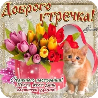 Для чата