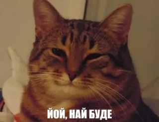 👍 да ето война, Telegram sticker 18 of 102