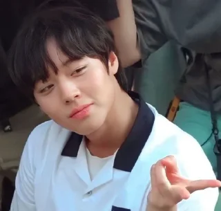 😜 Park Ji-hoon, Telegram sticker 11 of 18