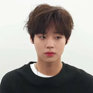 😶 Park Ji-hoon, Telegram sticker 13 of 18