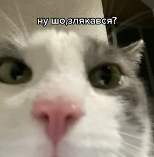 😏 Спрей, Telegram sticker 8 of 70