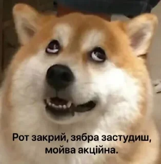 🤢 Спрей, Telegram sticker 7 of 70