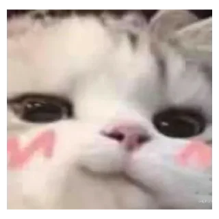 кусь