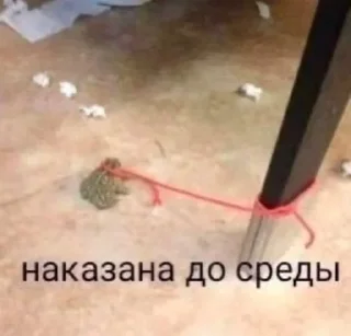 😔 одна макушка, стикер Telegram 7 из 12