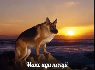 🌟 Пак рандом фото от @orisomi, sticker Telegram 16 sur 82