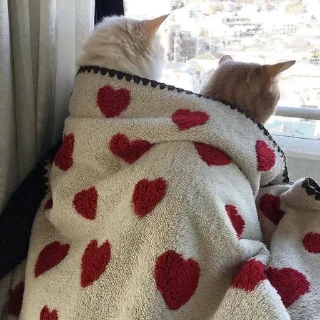 🌟 киты 1.0 🐈‍⬛, стікер Telegram 15 з 53