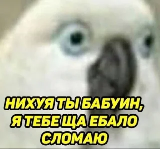 👊 MyFavourites, стікер Telegram 10 з 120