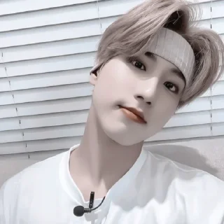 #𝐚𝐞𝐬𝐭𝐡𝐞𝐭𝐢𝐜: 𝗁𝖺𝗇 🐿 ;: by @paradismaudit