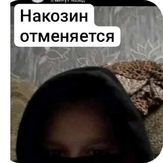 👍 Федота дота, sticker Telegram 18 sur 31