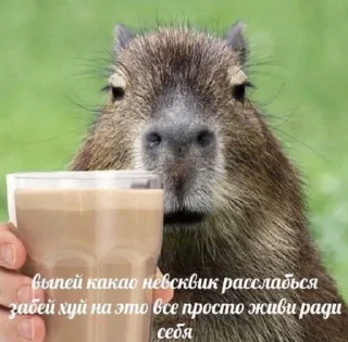 😞 хуйня, Telegram sticker 16 of 31