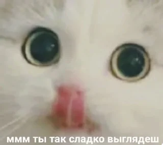 🥹 хуйня, Telegram sticker 9 of 31