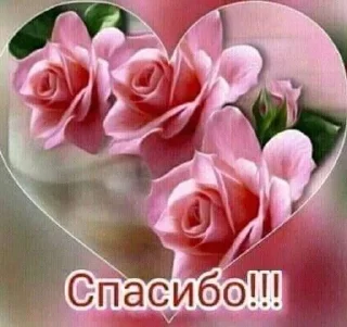 🌟 СПАСИБО!!!, Telegram sticker 9 of 54