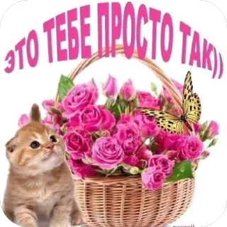 🫥 открытки @qvizas, стікер Telegram 6 з 54