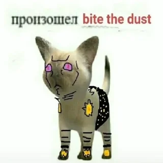 😾 дио лох, sticker Telegram 24 sur 72