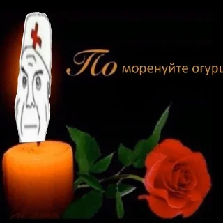 🤛 What is that shit, стікер Telegram 22 з 30