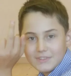 🖕 да, Telegram sticker 17 of 66