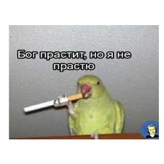 🖕 *Мемы на все случаи жизни*, стікер Telegram 5 з 42