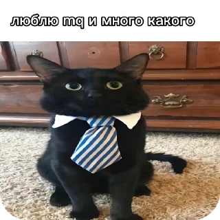 🐱 Кот в галстуке @stickrubot, Telegram sticker 9 of 22