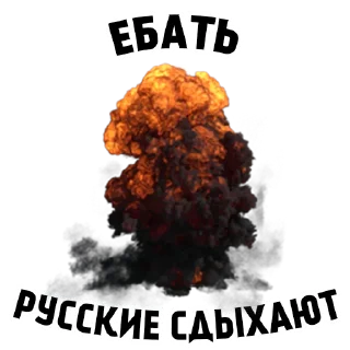 🐷 By @military_u, стикер Telegram 14 из 34
