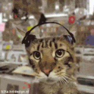 @TVstickers cats